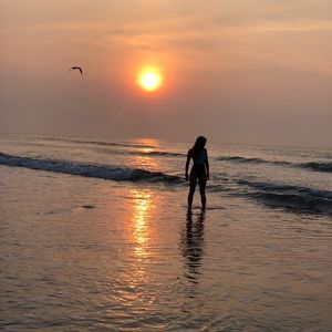 Meet your Posher, Rosie